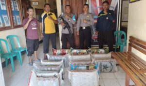 IMG-20221027-WA0015-800x445